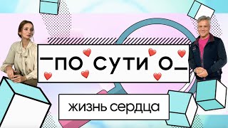 ПО СУТИ О: жизнь сердца // профессор Илья Егоров