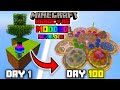 I Survived 100 Days in Modded Skyblock Hardcore!!