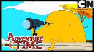 Trabajo | Hora de Aventura LA | Cartoon Network