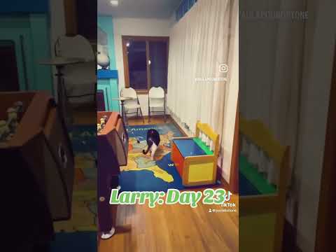 LARRY - DAY 23