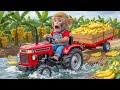 Monkey NaNa Cuts Weeds, Removes Garbage on His Farm! JCB 3cx Tractor Excavator Help MONKEY Life