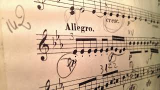 Ludwig van Beethoven - The Tempest - Movement 3 (Arr. for strings)