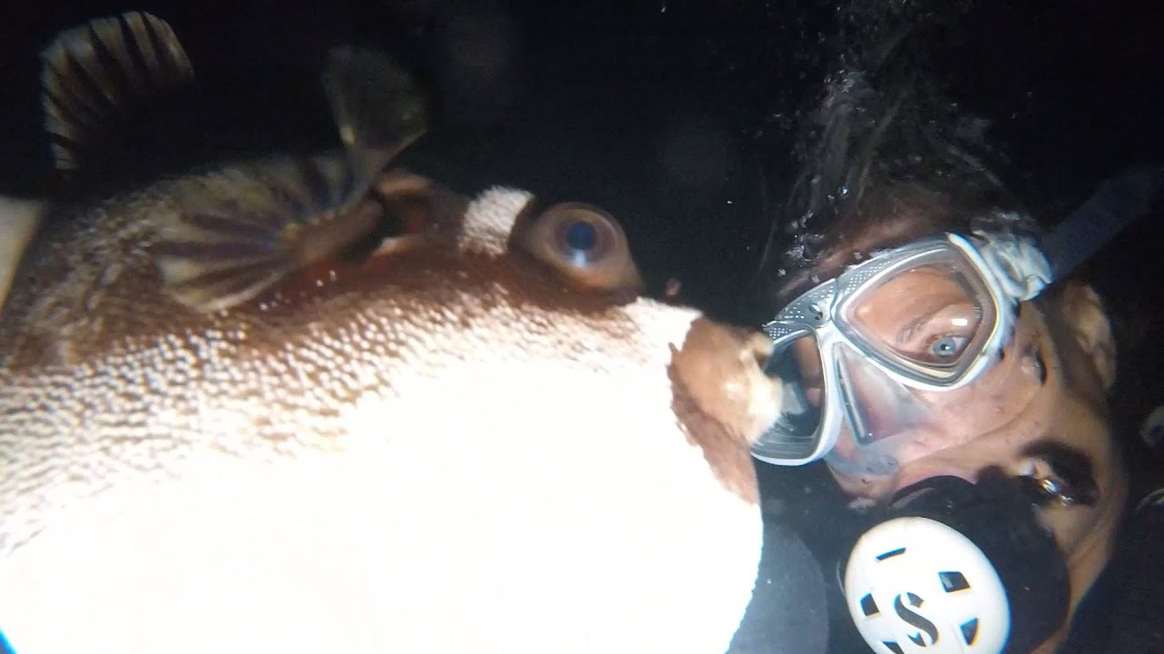 Night wreck Susanna, McLaren Diving, Hurghada, Egypt, Aug 2023