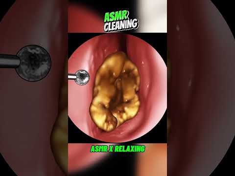 1 Hour Of Pure ASMR Bliss Sleep Study Relax 