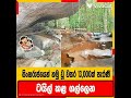 ටෙකනොලොජියා ඒකාලේ පට්ටම දියුණුයි නේ 😂👍 #shortvideos