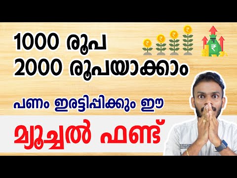 equity fund -