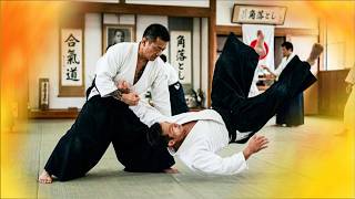 Reversing A Powerful Punch Using The Corner Drop Throw