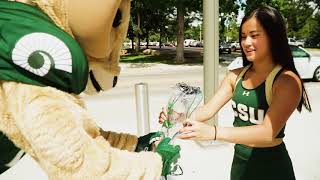 Colorado State Football Game Day Clear Bag Policy