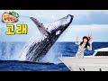 [유라와 자연친구 10화] 고래가 물고기가 아닌 포유류라고? 바다생물 자연관찰 학습