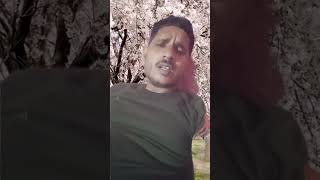 #mks #blougs #shorts #viralvideo #trendingreels #hindisong #highilts