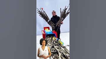 #fcnfm FCNFM: Innovating the Future of Animal Feed Production in China