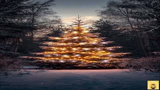 Happy Christmas Song -  CB RECORDS
