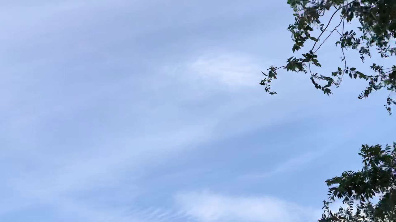 Happy 4th of July 🇺🇸