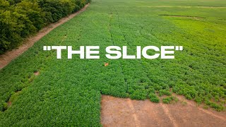 Mark Buys His First 40 Acres | Welcome to "The Slice"