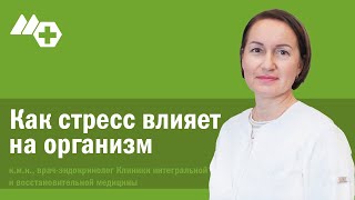 Как стресс влияет на организм? Что происходит в организме во время стресса? Кортизол