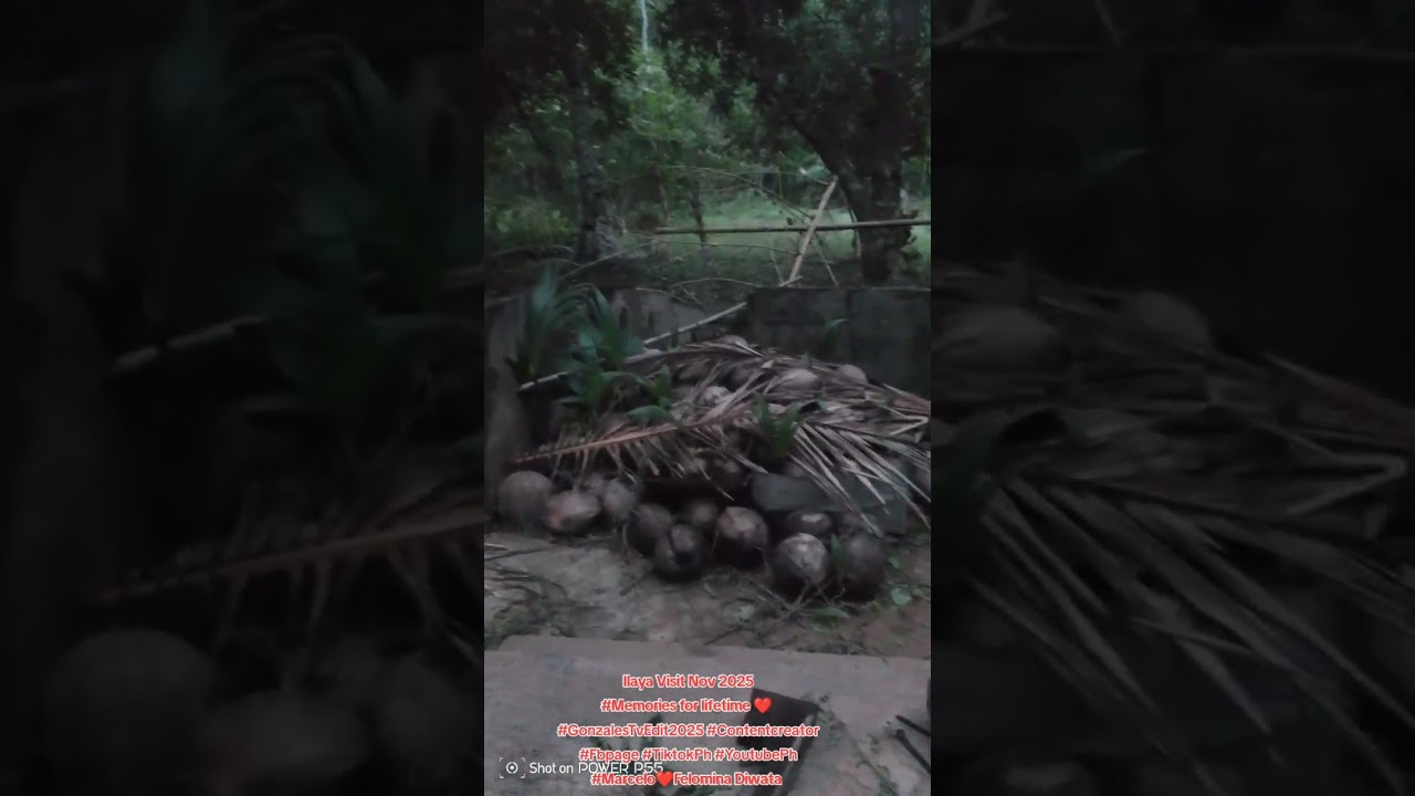 2025 Ilaya visit after Super Typhoon Uwan Signal Nr5 ,10Nov2025 ,all ok 