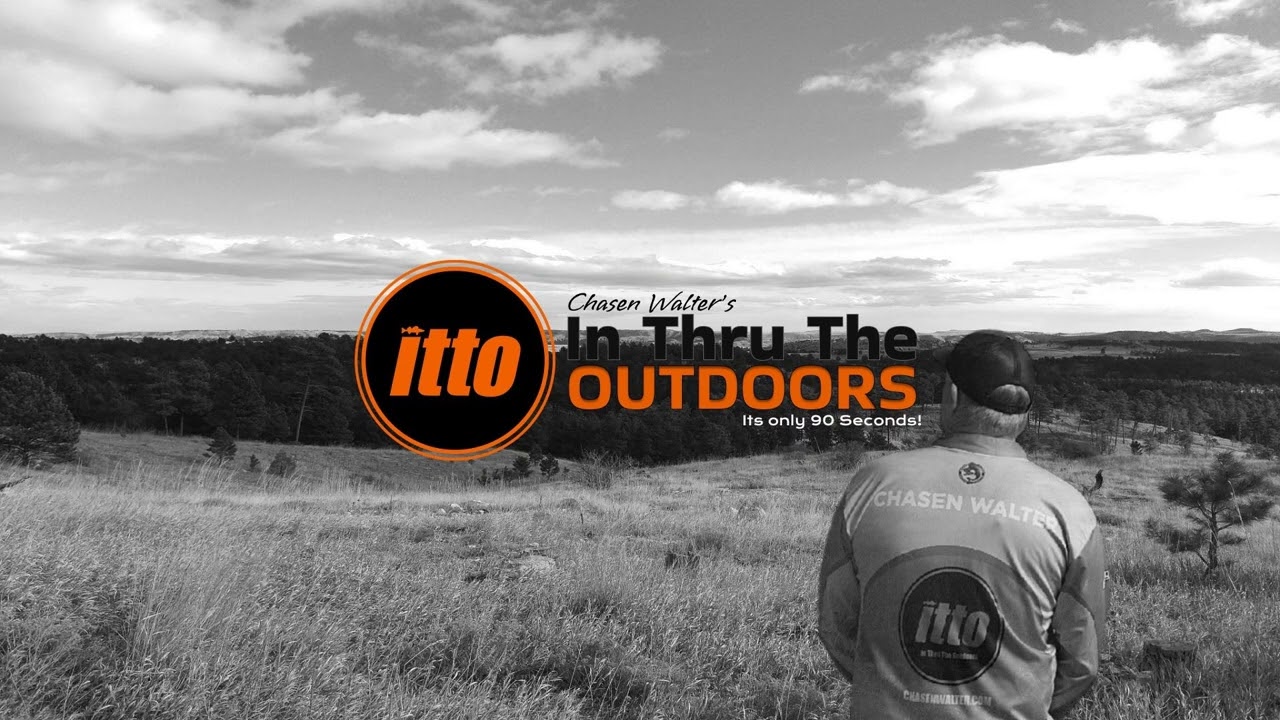 Episode 1186 Factors for Strong Walleye Year-Classes!