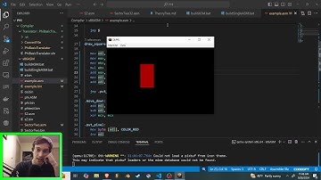 Game Development in x86 Assembly Language - Draw Rectangle