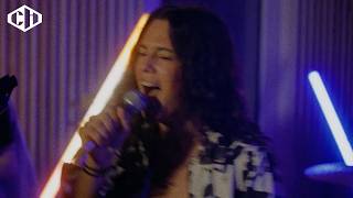 Friedberg with 'haha' at Clouds Hill Festival 2025