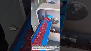 Amazing Automatic Meat Slicing Machine – Perfect Precision Cutting Technology!.