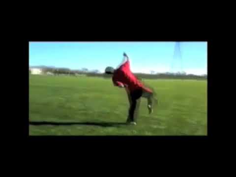 Copy of David Victorino - 2008 - 2010 Sampler - Martial Arts Tricking