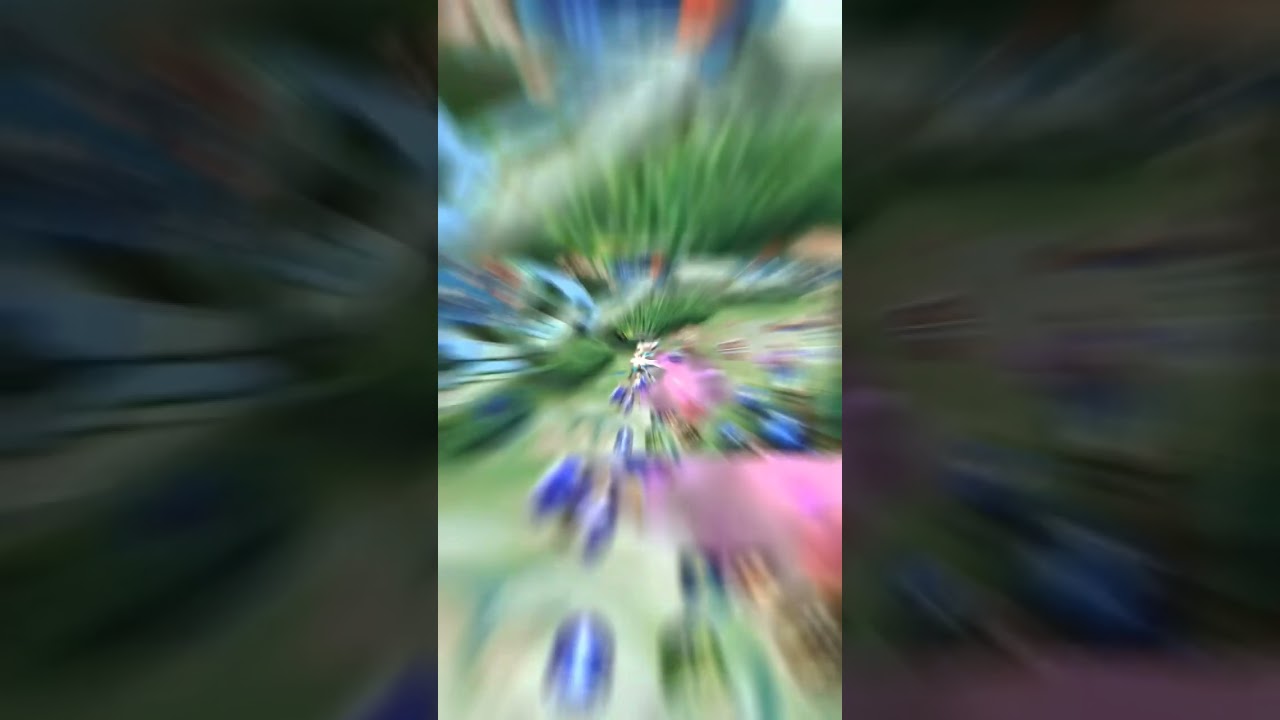 edith offlaner ter...🔥 