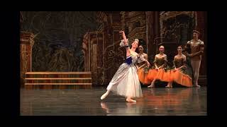 Ll Variação Do Pas De Trois Do Ballet Swan Lake