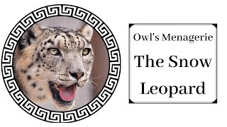 Owls Menagerie Snow Leopard