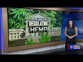 'I've been the bearer of bad news': Va. hemp businesses bin majority of product after ban