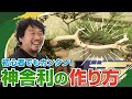 【これが分かれば怖くない!】神舎利の作り方を分かりやすく丁寧に教えます!