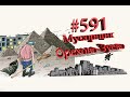 Мусор из дома выбрасывают в уличную урну  #591 Орехово-Зуево