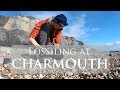 Fossiling at Charmouth Beach