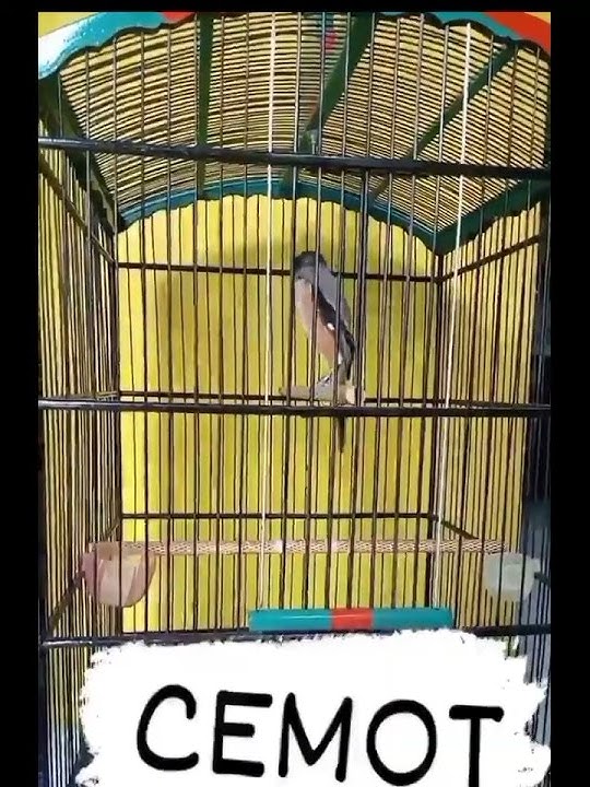 CENDET ISIAN KUNTI NGERI