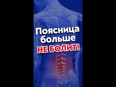 1 упражнение и боли в пояснице больше не будет! #shorts