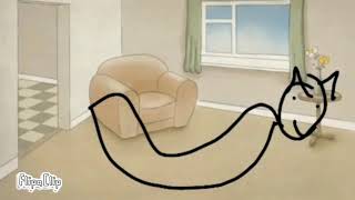 Noodle cat