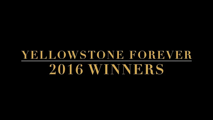 Yellowstone Forever 2016 Winners