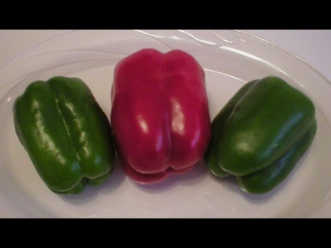 Bell Peppers 101-Nutrition Facts & Health Benefits