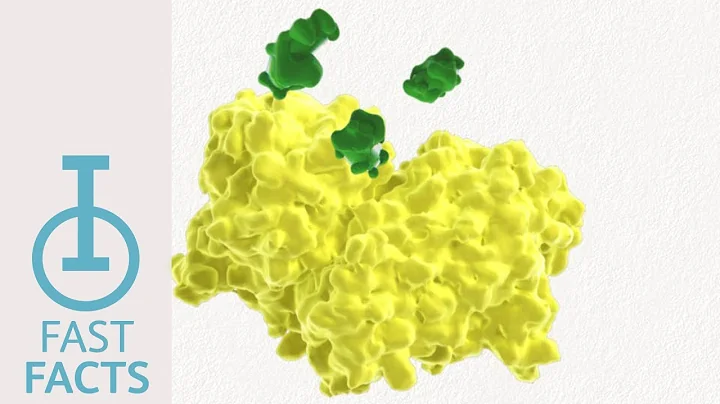 IOU YouTube: How does IDO impact the immune response?