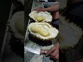 durian fruits yums #fruit #amazing #food #summer #farmer #nature #viral #video