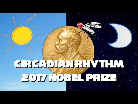 2017 Nobel Prize for Circadian Rhythm