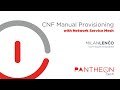 Cloudnative functions manual provisioning w nsm  cdnfio  by pantheontech