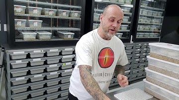 Update and egg cutting of 5 clutches!