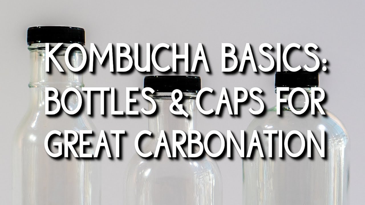 Kombucha Round Glass Boston Bottles - 6 units 16 oz – Revital Kombucha by  Revital Teas