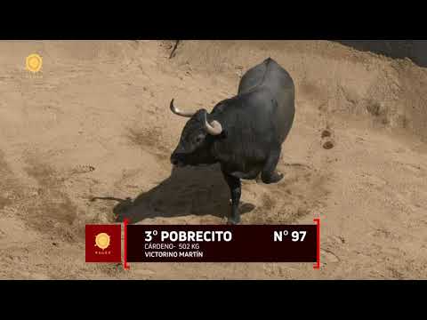 Orden de lidia de los toros de Victorino Martín