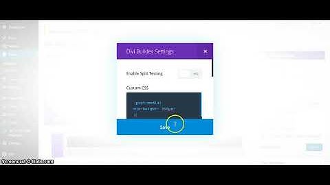 How to Add CSS Only to 1 Page in Divi Theme
