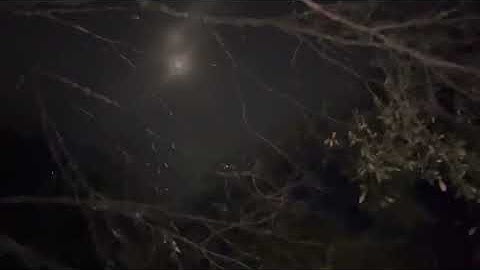 Nxbiss - Lxsing My Mind (Astronomical Vibes)