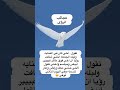 رؤيا عجيبة يركب طائر أبيض رؤيا عجيبة يركب طائر أبيض