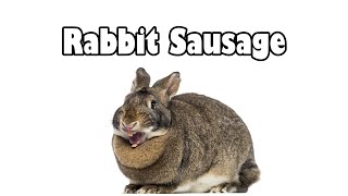 Rabbit Sausage