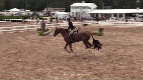 Video of AUBERGINE ridden by LINDSEY PHIPPS from S...