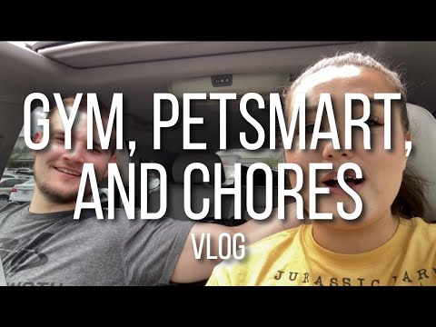 Spend Sunday with Me! | Workout, PetSmart, and Chores